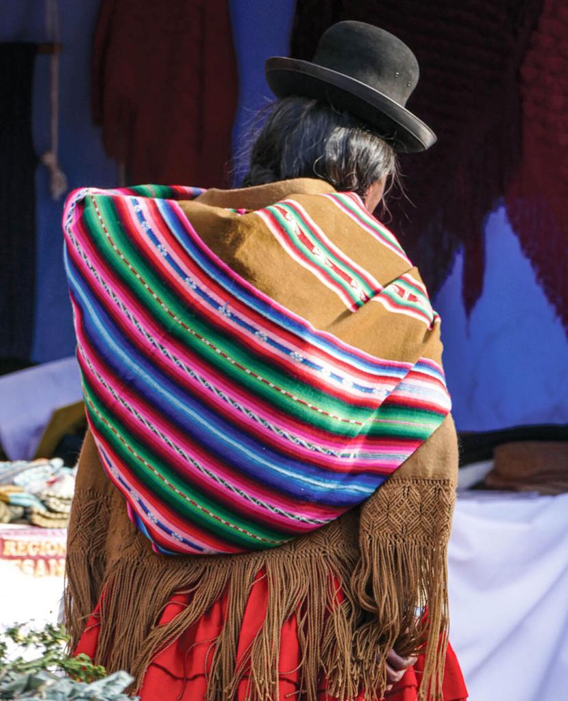 billy ward soaring with condors