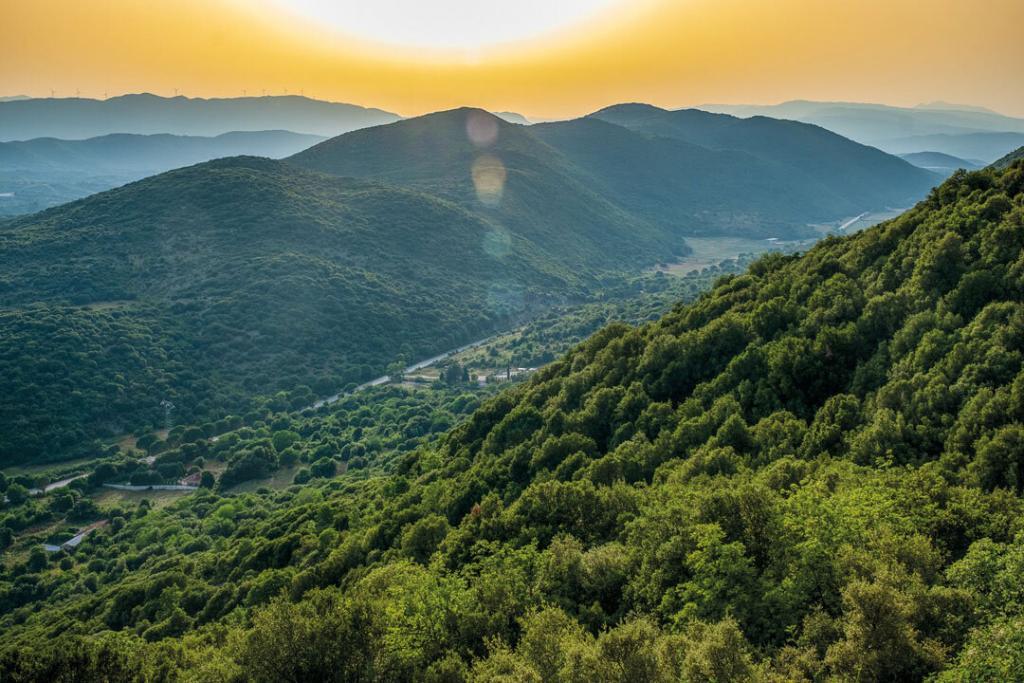 bauza greece
