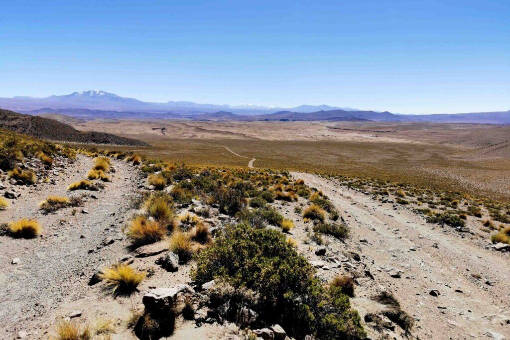kate leeming bolivia