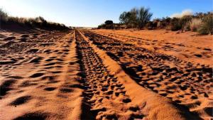 sandy road