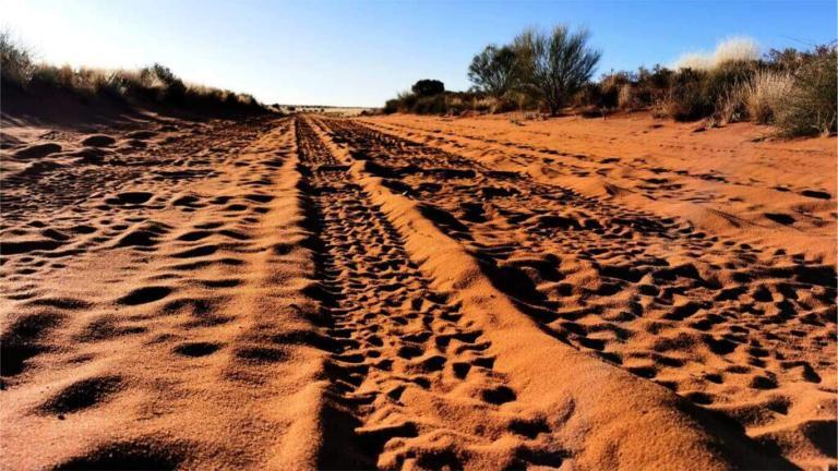 sandy road