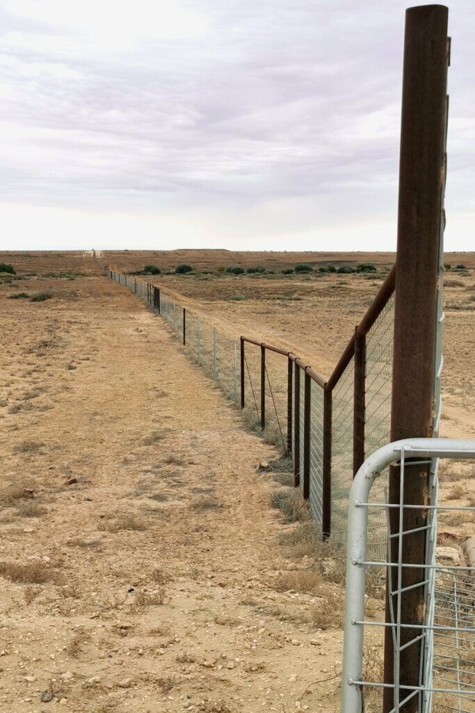 The Dog Fence