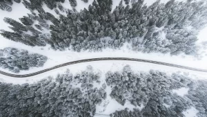 winter landscape