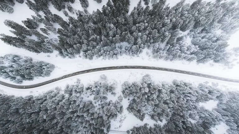 winter landscape