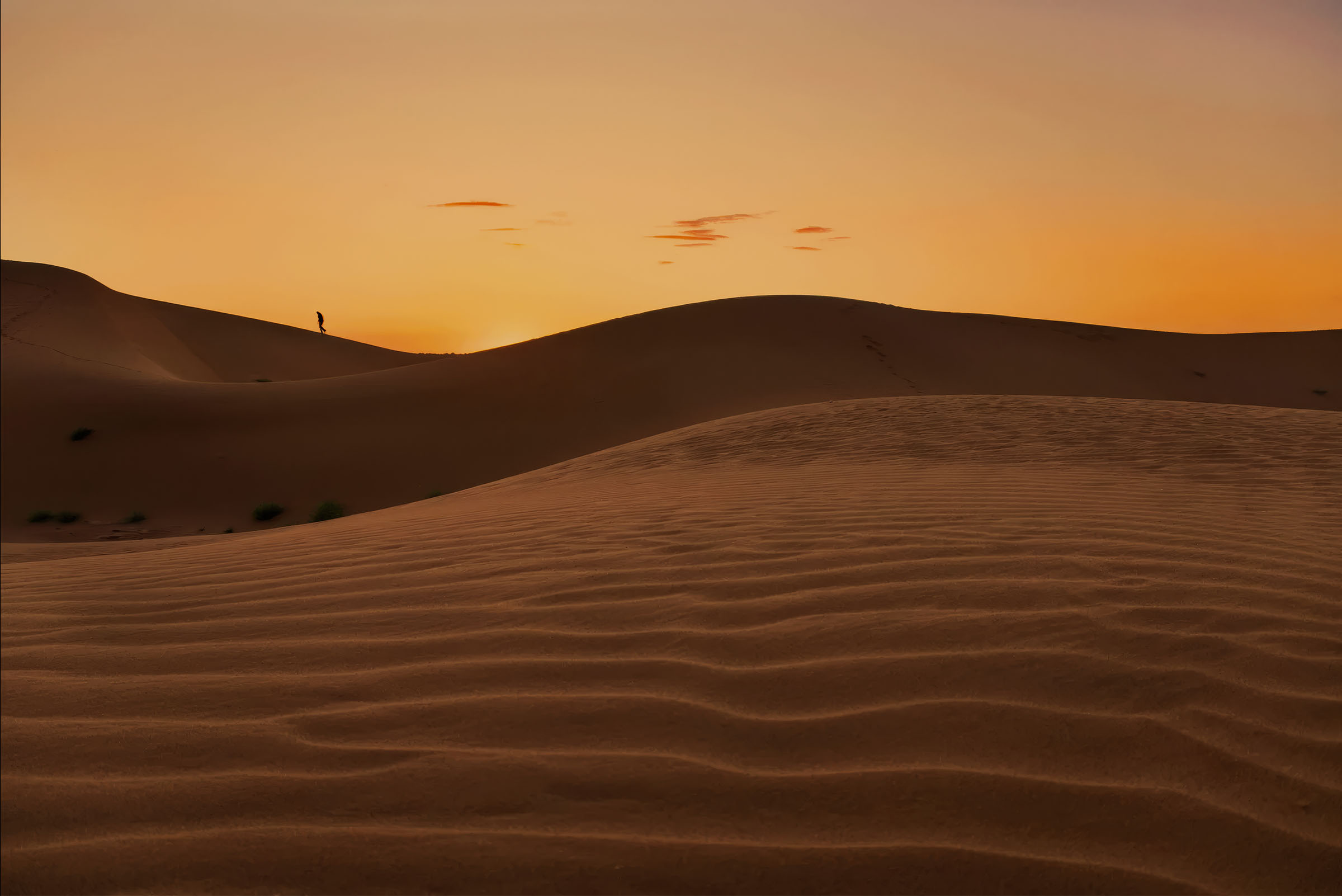 Solitary traveller crossing the dunes of the Moroccan Sahara at sunset.