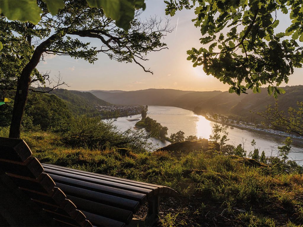 The Rhine near Cologne at sunset, central to Michael Brailey’s editorial about returning to fishing at sixty-five.