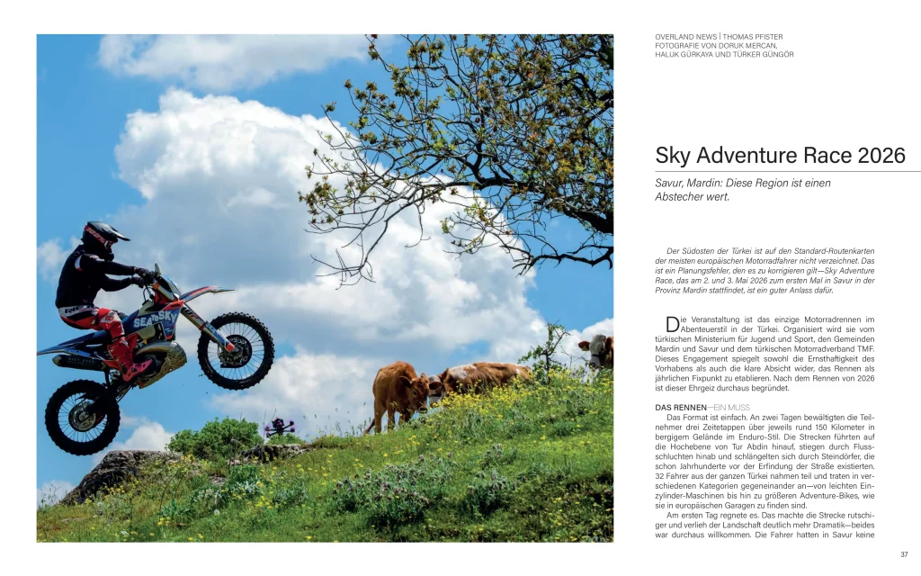 Motorrad springt in der nähe von Kühen auf eine Weide