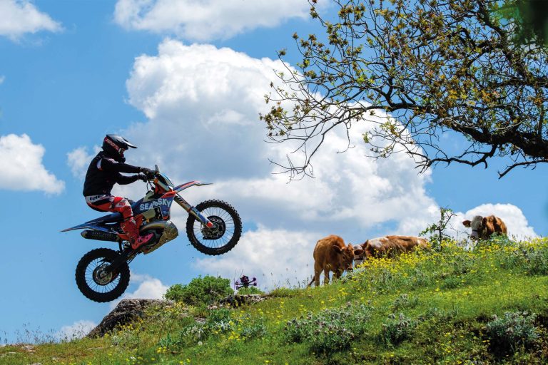 Motocross rider jumping across a hillside during the Sea to Sky enduro race in Turkey as cattle graze nearby.